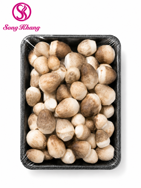 Song Khang
